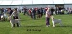Filename=BOB challenge.jpg
Filesize=51KiB
Dimensions=600x280
Date added=Sep 16, 2009 BOB challenge.jpg