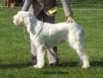 Filename=C-Noney.jpg
Filesize=71KiB
Dimensions=600x457
Date added=Sep 16, 2009 C-Noney.jpg
