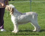 Filename=G-MagicInTheSky.jpg
Filesize=80KiB
Dimensions=600x486
Date added=Sep 16, 2009 G-MagicInTheSky.jpg