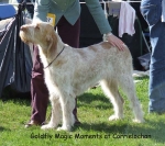 Filename=G-MagicMoments.jpg
Filesize=81KiB
Dimensions=600x535
Date added=Sep 16, 2009 G-MagicMoments.jpg