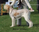 Nom du fichier=R-Schillaci.jpg
Taille du fichier=69Ko
Dimensions : 600x499
Ajouté le : 16 Septembre 2009 R-Schillaci.jpg