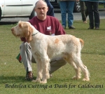 Filename=B CuttingADash.jpg
Filesize=119KiB
Dimensions=781x699
Date added=Sep 16, 2009 B CuttingADash.jpg