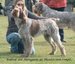 Filename=Babiot-DelMongioie.jpg
Filesize=158KiB
Dimensions=895x768
Date added=Sep 16, 2009 Babiot-DelMongioie.jpg