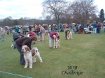 Filename=Challenge.jpg
Filesize=148KiB
Dimensions=900x675
Date added=Sep 16, 2009 Challenge.jpg