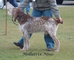 Filename=H Neno.jpg
Filesize=97KiB
Dimensions=703x573
Date added=Sep 16, 2009 H Neno.jpg