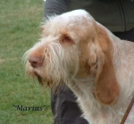 Filename=Marius.jpg
Filesize=105KiB
Dimensions=892x828
Date added=Sep 16, 2009 Marius.jpg