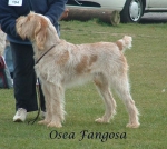 Filename=O Fangosa.jpg
Filesize=104KiB
Dimensions=745x666
Date added=Sep 16, 2009 O Fangosa.jpg