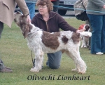 Filename=O Lionheart.jpg
Filesize=110KiB
Dimensions=790x642
Date added=Sep 16, 2009 O Lionheart.jpg