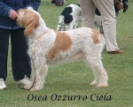 Filename=O OzzuroCiela.jpg
Filesize=106KiB
Dimensions=763x612
Date added=Sep 16, 2009 O OzzuroCiela.jpg