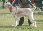 Nom du fichier=R Schillaci.jpg
Taille du fichier=174Ko
Dimensions : 1012x750
Ajouté le : 16 Septembre 2009 R Schillaci.jpg