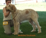 Filename=B-Daydream.jpg
Filesize=50KiB
Dimensions=600x508
Date added=Sep 16, 2009 B-Daydream.jpg