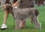 Filename=C-SassySalsa.jpg
Filesize=60KiB
Dimensions=600x428
Date added=Sep 16, 2009 C-SassySalsa.jpg