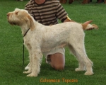 Filename=C-Topazio.jpg
Filesize=55KiB
Dimensions=600x481
Date added=Sep 16, 2009 C-Topazio.jpg