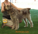 Dateiname=M-Cuba.jpg
Dateigröße=57KB
Abmessungen: 600x535
hinzugefügt am: 16. September 2009 M-Cuba.jpg