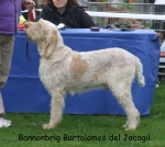 Filename=B-Bartolomeo.jpg
Filesize=58KiB
Dimensions=600x536
Date added=Sep 16, 2009 B-Bartolomeo.jpg