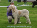 Filename=B-Bartolomeo2.jpg
Filesize=69KiB
Dimensions=650x500
Date added=Sep 16, 2009 B-Bartolomeo2.jpg