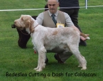 Filename=B-CuttingADash.jpg
Filesize=59KiB
Dimensions=600x475
Date added=Sep 16, 2009 B-CuttingADash.jpg