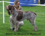 Filename=Babiot-DelMongioie.jpg
Filesize=64KiB
Dimensions=600x492
Date added=Sep 16, 2009 Babiot-DelMongioie.jpg