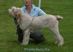 Filename=F-RoccaChe.jpg
Filesize=55KiB
Dimensions=700x500
Date added=Sep 16, 2009 F-RoccaChe.jpg