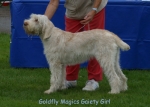Filename=G-MagicsGaietyGirl-2.jpg
Filesize=58KiB
Dimensions=700x500
Date added=Sep 16, 2009 G-MagicsGaietyGirl-2.jpg