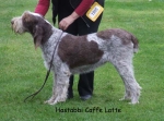 Filename=H-CaffeLatte.jpg
Filesize=54KiB
Dimensions=600x444
Date added=Sep 16, 2009 H-CaffeLatte.jpg