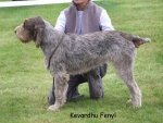 Filename=K-Fenyl.jpg
Filesize=62KiB
Dimensions=600x454
Date added=Sep 16, 2009 K-Fenyl.jpg