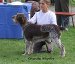 Filename=K-Whystra.jpg
Filesize=70KiB
Dimensions=600x515
Date added=Sep 16, 2009 K-Whystra.jpg