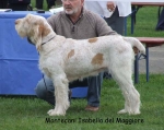Filename=M-Isabella.jpg
Filesize=55KiB
Dimensions=600x476
Date added=Sep 16, 2009 M-Isabella.jpg