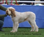 Filename=R-CatchTheDawn.jpg
Filesize=57KiB
Dimensions=600x514
Date added=Sep 16, 2009 R-CatchTheDawn.jpg