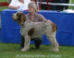 Filename=R-CatcherOfDreams-2.jpg
Filesize=80KiB
Dimensions=700x550
Date added=Sep 16, 2009 R-CatcherOfDreams-2.jpg