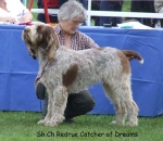 Dateiname=R-CatcherOfDreams.jpg
Dateigröße=66KB
Abmessungen: 600x523
hinzugefügt am: 16. September 2009 R-CatcherOfDreams.jpg