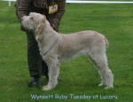 Filename=W-RubyTuesday.jpg
Filesize=68KiB
Dimensions=650x500
Date added=Sep 16, 2009 W-RubyTuesday.jpg