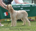 Filename=B-BornToLove.jpg
Filesize=95KiB
Dimensions=691x606
Date added=Sep 16, 2009 B-BornToLove.jpg