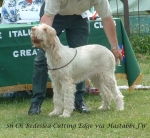 Filename=B-CuttingEdge.jpg
Filesize=89KiB
Dimensions=625x579
Date added=Sep 16, 2009 B-CuttingEdge.jpg