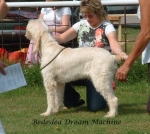 Filename=B-DreamMachine.jpg
Filesize=90KiB
Dimensions=688x615
Date added=Sep 16, 2009 B-DreamMachine.jpg