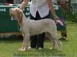 Filename=B-DreamOn.jpg
Filesize=62KiB
Dimensions=600x450
Date added=Sep 16, 2009 B-DreamOn.jpg