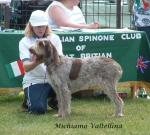 Dateiname=M-Valtellina.jpg
Dateigröße=111KB
Abmessungen: 724x654
hinzugefügt am: 16. September 2009 M-Valtellina.jpg