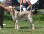 Nom du fichier=O-Fangosa.jpg
Taille du fichier=111Ko
Dimensions : 724x564
Ajouté le : 16 Septembre 2009 O-Fangosa.jpg