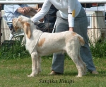 Filename=S-Illuigi.jpg
Filesize=95KiB
Dimensions=676x558
Date added=Sep 16, 2009 S-Illuigi.jpg