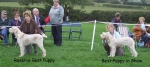 Filename=BP challenge2 copy.jpg
Filesize=48KiB
Dimensions=600x269
Date added=Sep 16, 2009 BP challenge2 copy.jpg