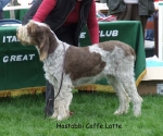 Filename=H-CaffeLatte.jpg
Filesize=67KiB
Dimensions=600x502
Date added=Sep 16, 2009 H-CaffeLatte.jpg