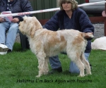 Filename=H-ImBackAgain.jpg
Filesize=66KiB
Dimensions=600x501
Date added=Sep 16, 2009 H-ImBackAgain.jpg
