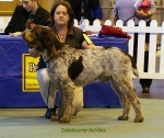 Filename=D-Achilles.jpg
Filesize=72KiB
Dimensions=650x549
Date added=Sep 16, 2009 D-Achilles.jpg