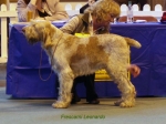 Filename=F-Leonardo.jpg
Filesize=51KiB
Dimensions=650x488
Date added=Sep 16, 2009 F-Leonardo.jpg