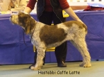 Dateiname=H-CafeLatte.jpg
Dateigröße=46KB
Abmessungen: 600x446
hinzugefügt am: 16. September 2009 H-CafeLatte.jpg