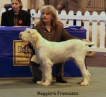 Filename=M-Francesco-2.jpg
Filesize=49KiB
Dimensions=650x600
Date added=Sep 16, 2009 M-Francesco-2.jpg