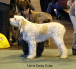Filename=N-DaisyDuke-2.jpg
Filesize=62KiB
Dimensions=650x600
Date added=Sep 16, 2009 N-DaisyDuke-2.jpg