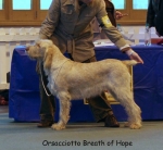 Filename=O-BreathOfHope-2.jpg
Filesize=53KiB
Dimensions=650x600
Date added=Sep 16, 2009 O-BreathOfHope-2.jpg