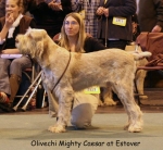 Filename=O-MightyCaesar-2.jpg
Filesize=66KiB
Dimensions=650x600
Date added=Sep 16, 2009 O-MightyCaesar-2.jpg