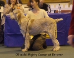 Filename=O-MightyCaesar.jpg
Filesize=51KiB
Dimensions=600x468
Date added=Sep 16, 2009 O-MightyCaesar.jpg